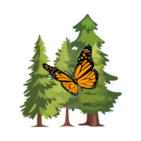 Charlotte Mason Nature Study (K-3rd)